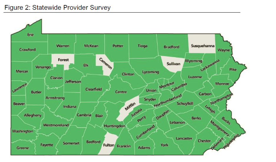Map of statewide provider survey.